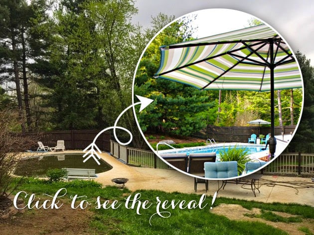 18656116938_edf6860ab2_z