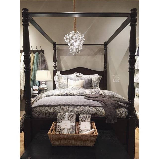 11381460_419785308206614_997507502_n