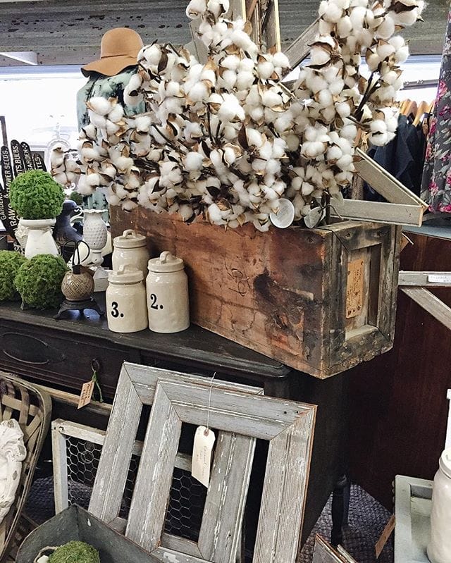 12825999_576189292537183_1686748455_n