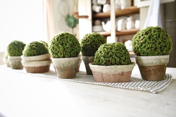DIY simple terra-cotta & moss centerpiece - a great rustic spring & summer style centerpiece. Perfect for a farmhouse style & cottage style dining room. 