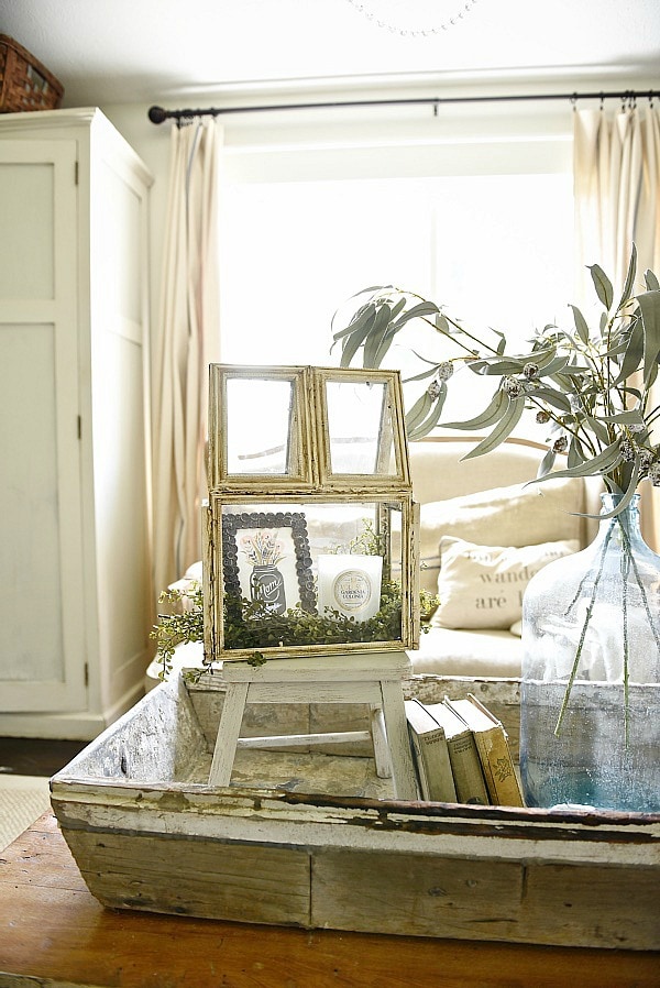 Super easy DIY terrarium that costs $8! So versatile & a great DIY project for home decor in any room of your home. A must pin & a must try! 