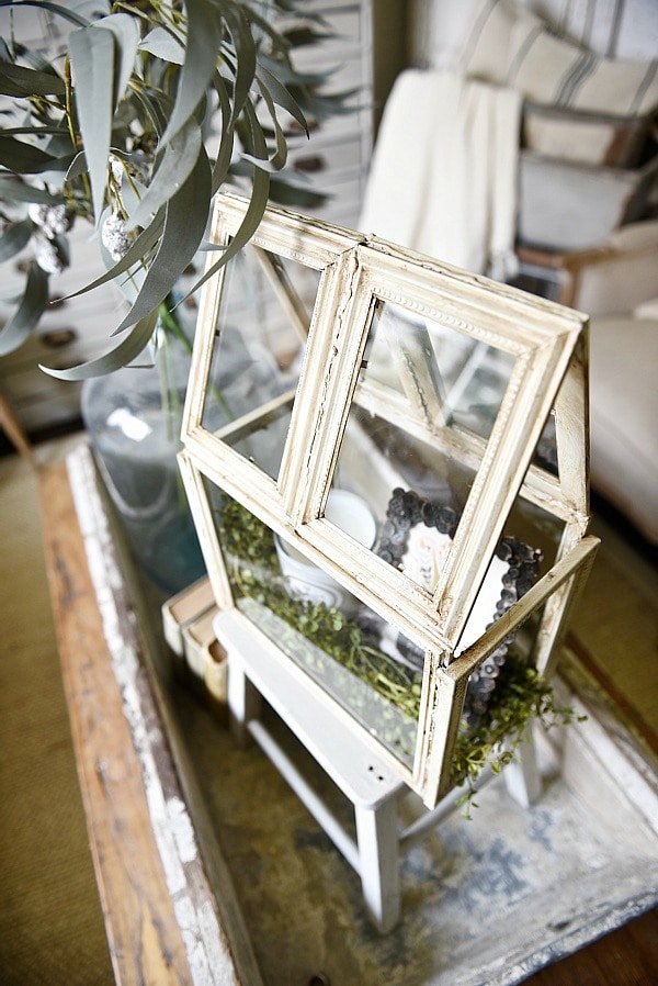 Super easy DIY terrarium that costs $8! So versatile & a great DIY project for home decor in any room of your home. A must pin & a must try! 