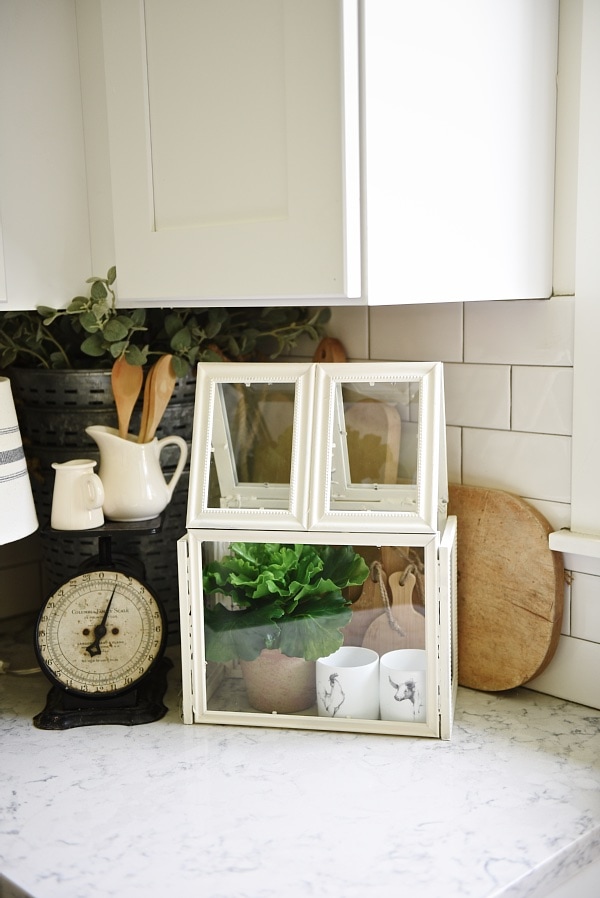 Super easy DIY terrarium that costs $8! So versatile & a great DIY project for home decor in any room of your home. A must pin & a must try! 