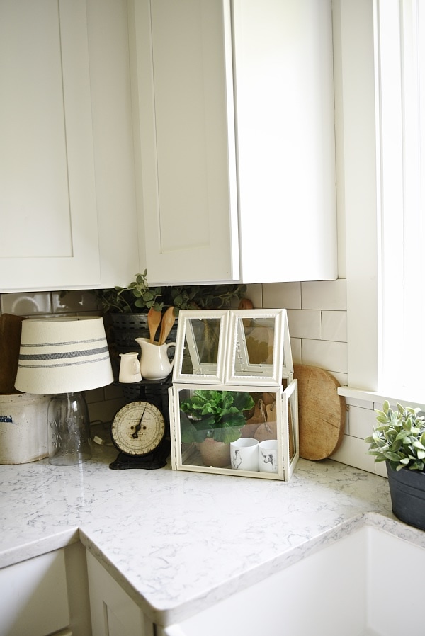 Super easy DIY terrarium that costs $8! So versatile & a great DIY project for home decor in any room of your home. A must pin & a must try! 