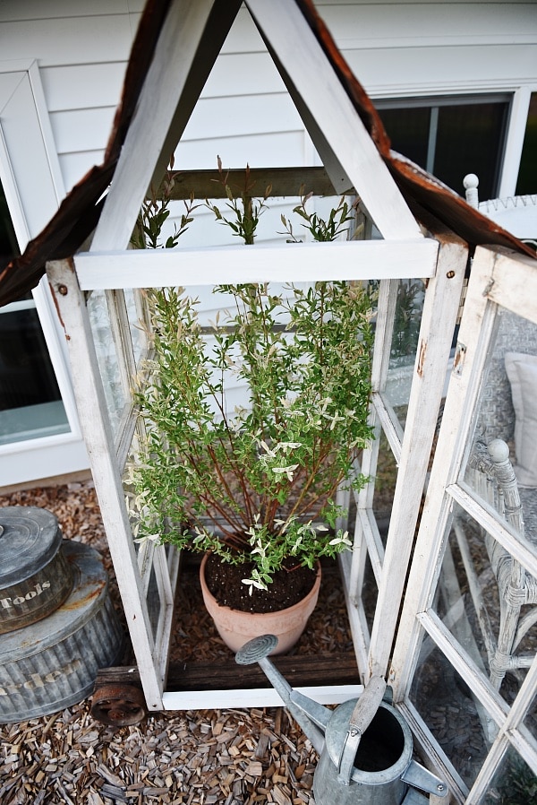 DIY window greenhouse - See how to make this amazing rustic greenhouse. A super easy DIY project that adds rustic charm indoors or outdoors. A great pin for DIY farmhouse decor! 