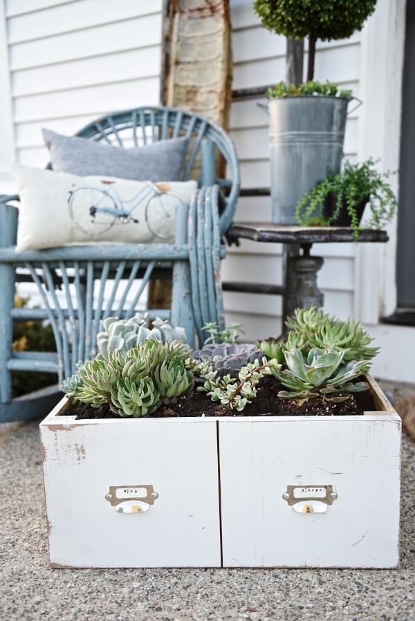 DIY succulent card catalog drawer - A great way to plant a succulent garden & so easy to make!! 