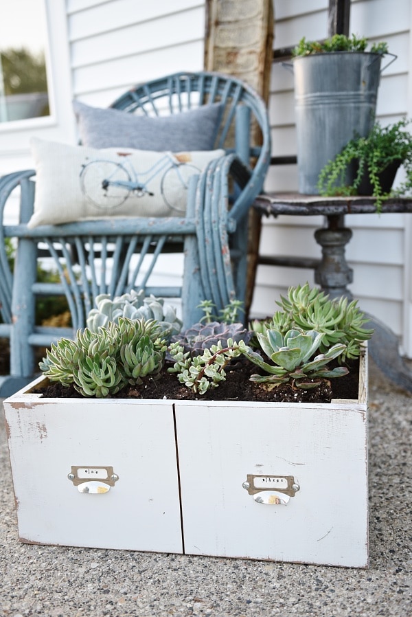 DIY succulent card catalog drawer - A great way to plant a succulent garden & so easy to make!! 