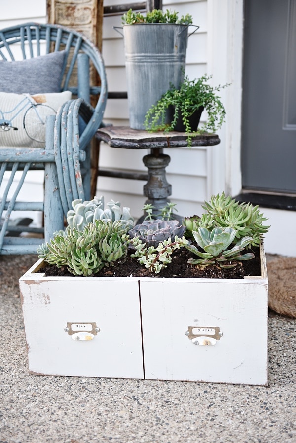 DIY succulent card catalog drawer - A great way to plant a succulent garden & so easy to make!! 