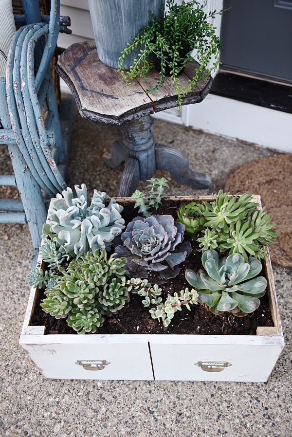 DIY succulent card catalog drawer - A great way to plant a succulent garden & so easy to make!! 