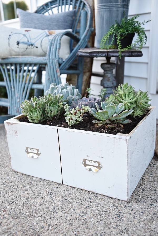 DIY succulent card catalog drawer - A great way to plant a succulent garden & so easy to make!! 