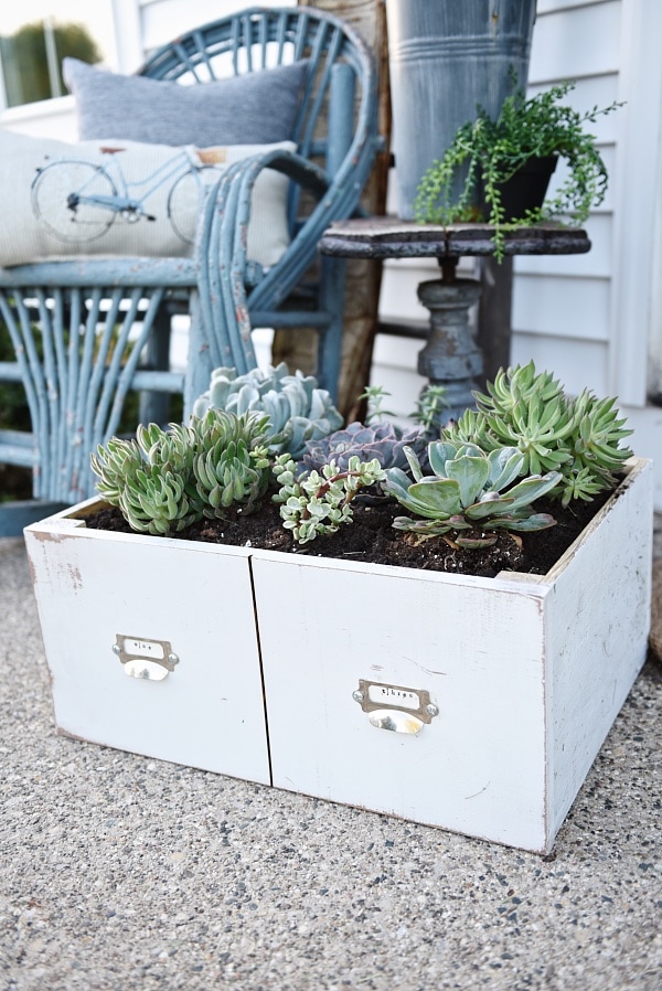 DIY succulent card catalog drawer - A great way to plant a succulent garden & so easy to make!! 
