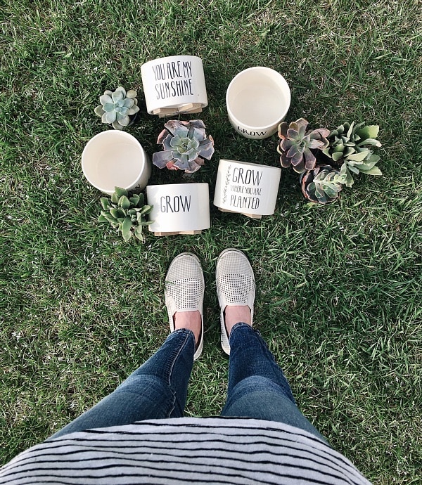 DIY succulent planters - a great idea for mothers day gifts, get well soon gifts, & so much more. A simple decor addition to any decor style & succulents are so easy to keep alive! 