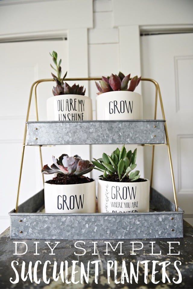 DIY succulent planters - a great idea for mothers day gifts, get well soon gifts, & so much more. A simple decor addition to any decor style & succulents are so easy to keep alive! 