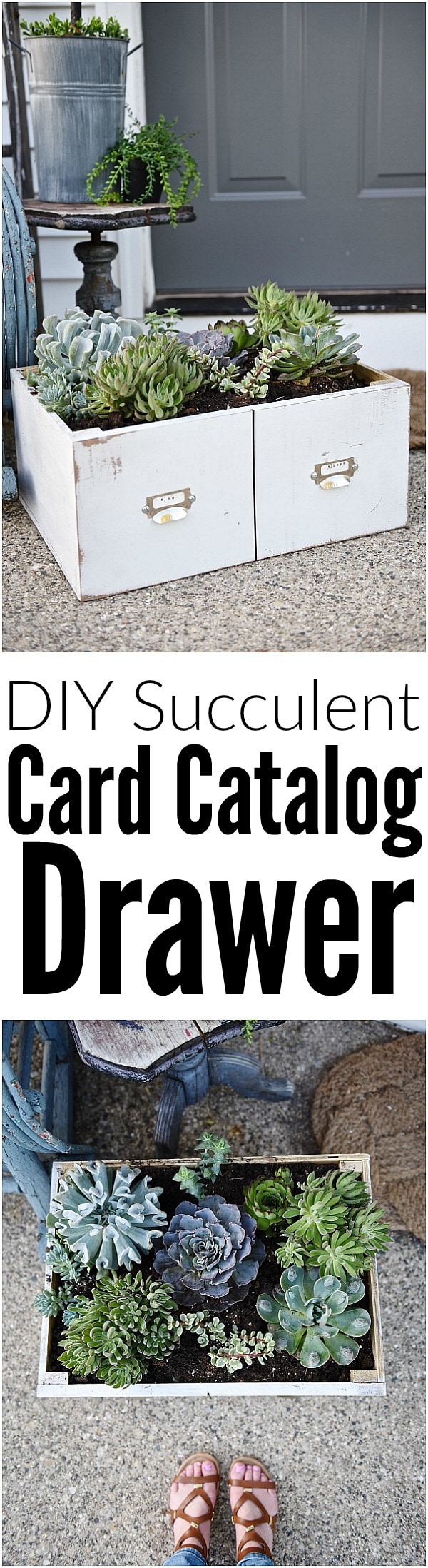 DIY succulent card catalog drawer - A great way to plant a succulent garden & so easy to make!! 