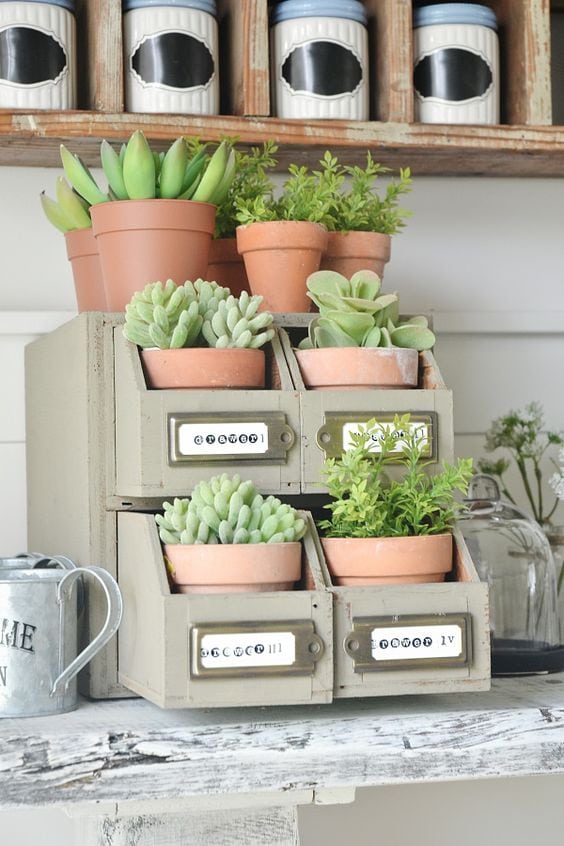 DIY succulent card catalog drawer - A great way to plant a succulent garden & so easy to make!! 