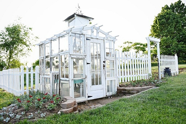 DIY rustic window greenhouse - Take the full tour of this hand built greenhouse made out of antique windows inside & out! 