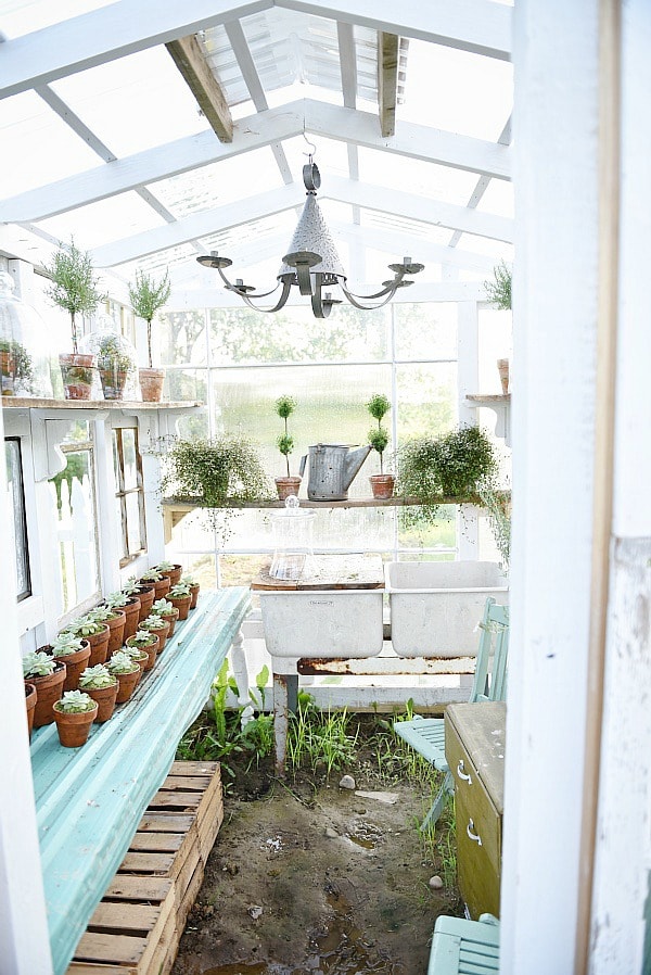 DIY rustic window greenhouse - Take the full tour of this hand built greenhouse made out of antique windows inside & out! 