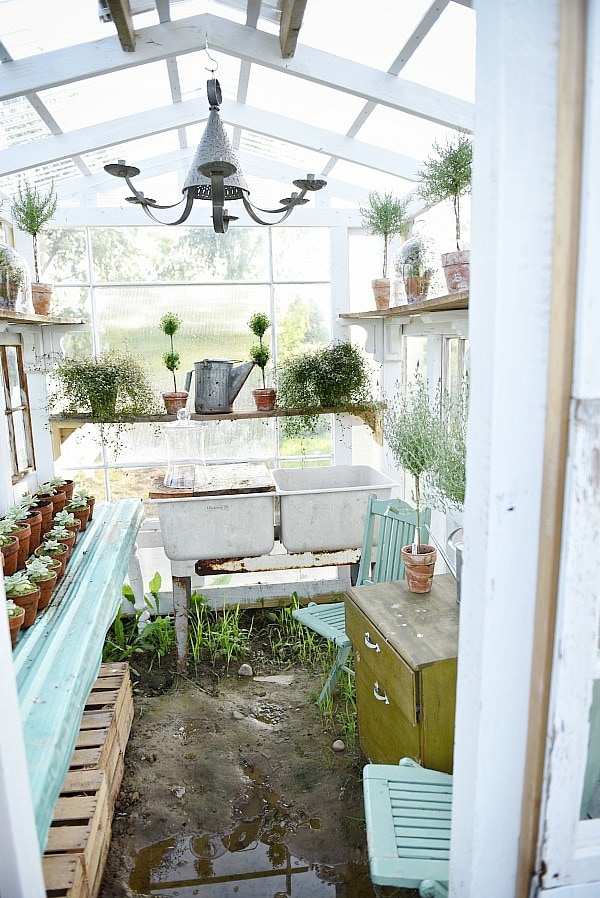 DIY rustic window greenhouse - Take the full tour of this hand built greenhouse made out of antique windows inside & out! 