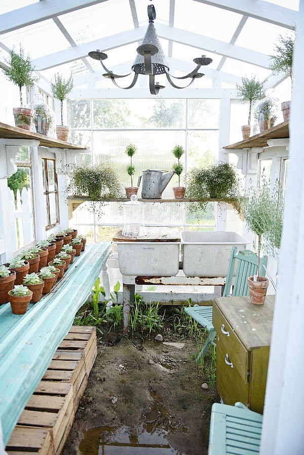DIY rustic window greenhouse - Take the full tour of this hand built greenhouse made out of antique windows inside & out! 
