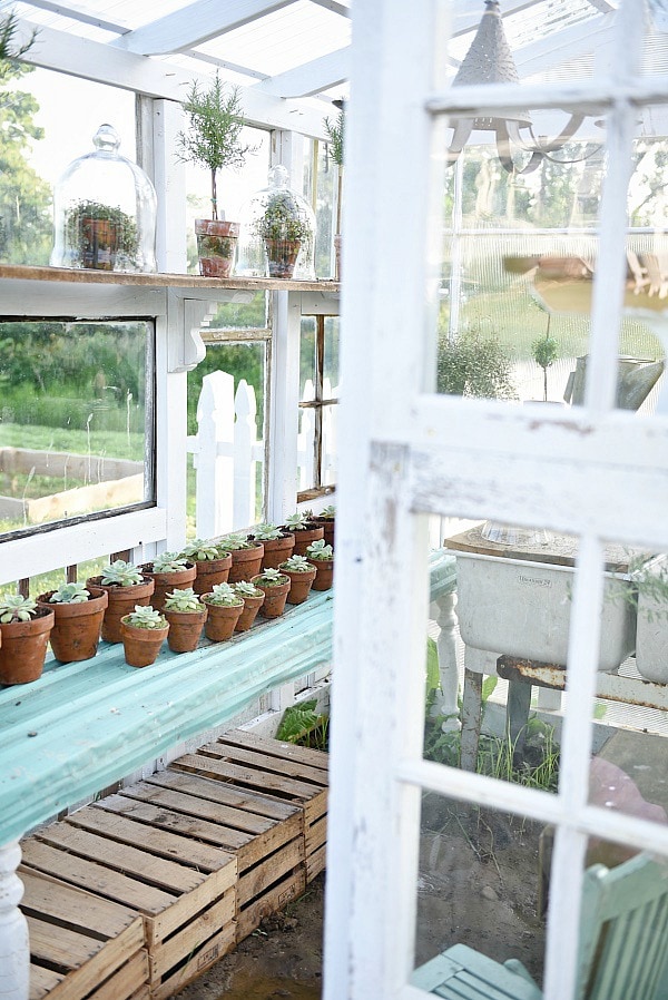 DIY rustic window greenhouse - Take the full tour of this hand built greenhouse made out of antique windows inside & out! 