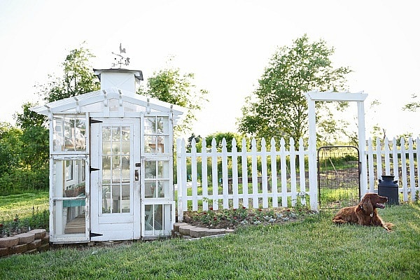 DIY rustic window greenhouse - Take the full tour of this hand built greenhouse made out of antique windows inside & out! 