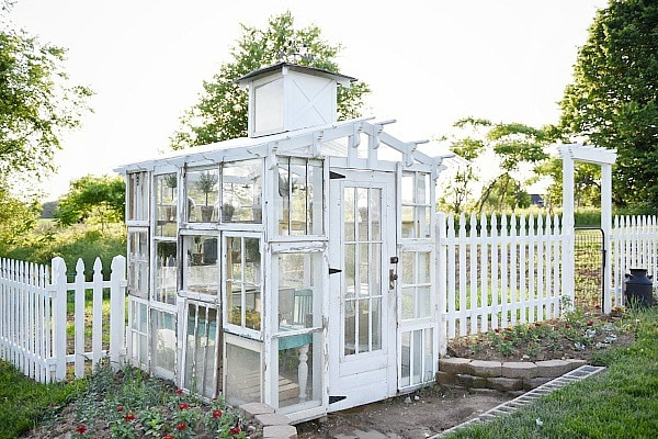 DIY rustic window greenhouse - Take the full tour of this hand built greenhouse made out of antique windows inside & out! 