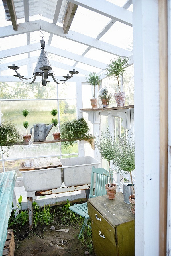 DIY rustic window greenhouse - Take the full tour of this hand built greenhouse made out of antique windows inside & out! 