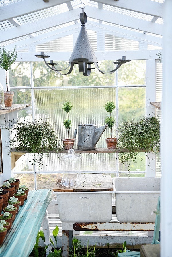 DIY rustic window greenhouse - Take the full tour of this hand built greenhouse made out of antique windows inside & out! 