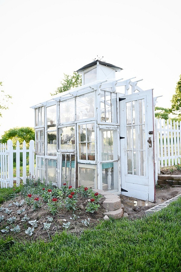 DIY rustic window greenhouse - Take the full tour of this hand built greenhouse made out of antique windows inside & out! 