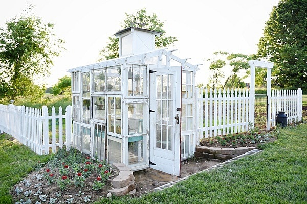 DIY rustic window greenhouse - Take the full tour of this hand built greenhouse made out of antique windows inside & out! 
