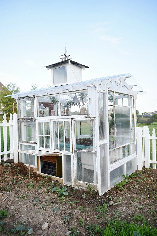 DIY rustic window greenhouse - Take the full tour of this hand built greenhouse made out of antique windows inside & out! 