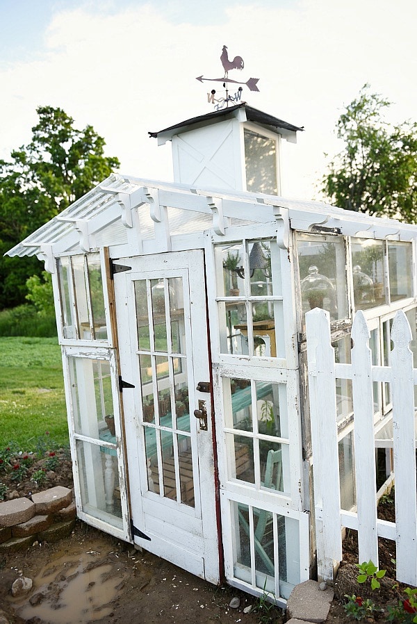 DIY rustic window greenhouse - Take the full tour of this hand built greenhouse made out of antique windows inside & out! 