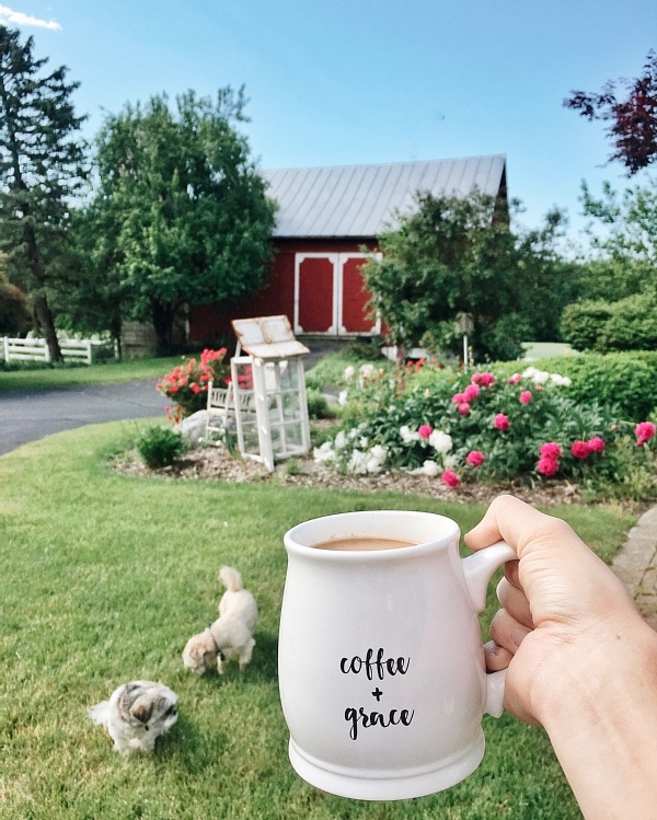 Processed with VSCO with a6 preset