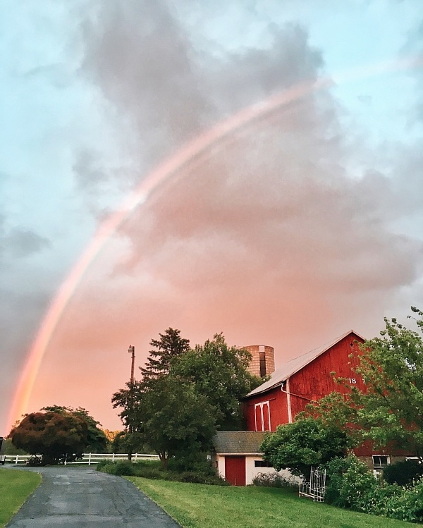 Processed with VSCO with a6 preset