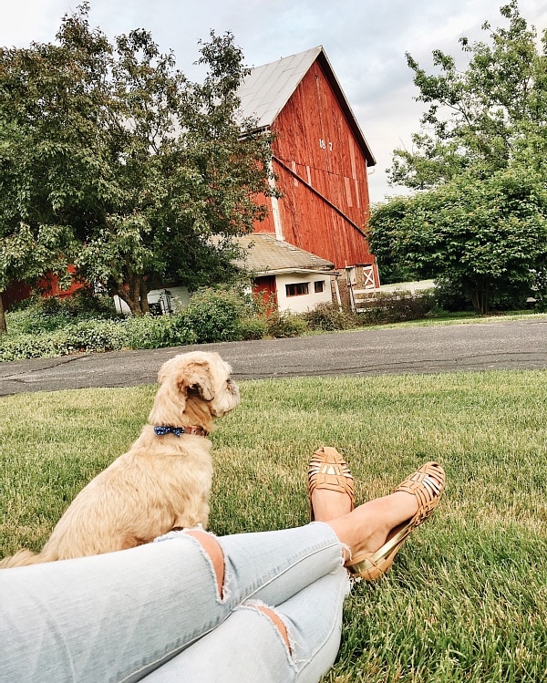 Processed with VSCO with a6 preset