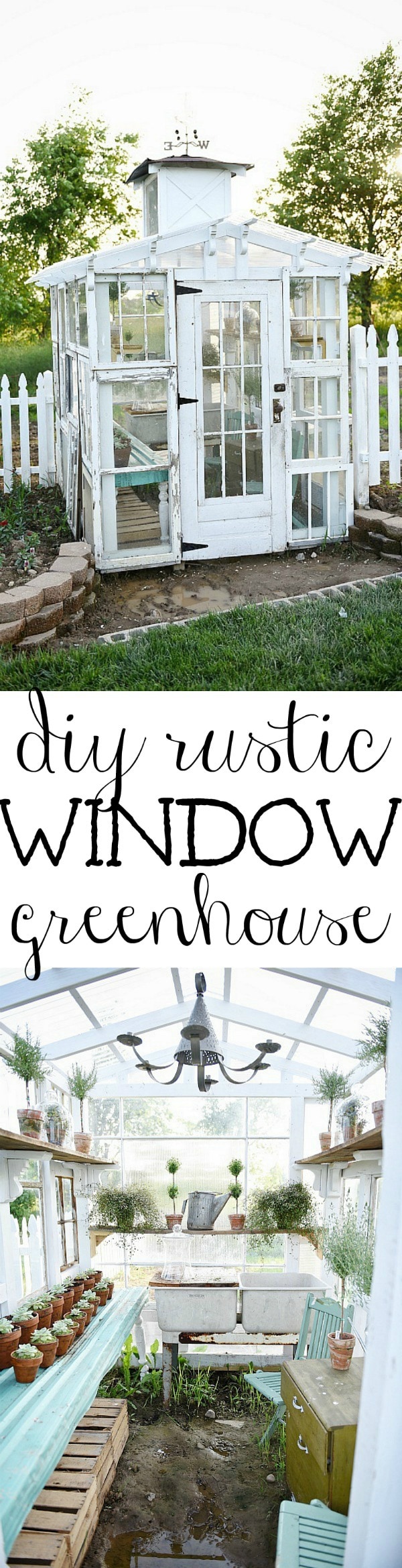 DIY rustic window greenhouse - Take the full tour of this hand built greenhouse made out of antique windows inside & out! 