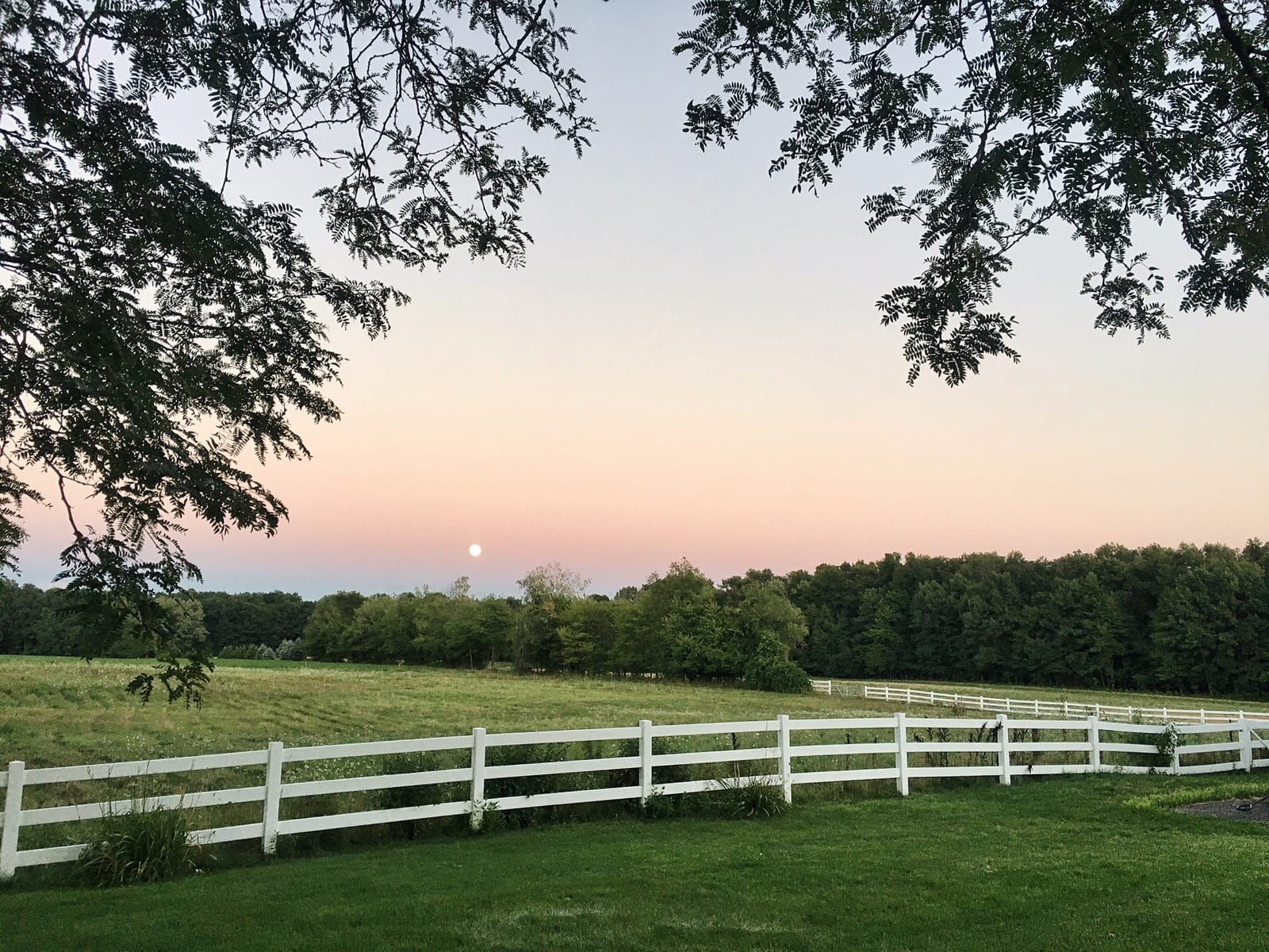 Processed with VSCO with a6 preset