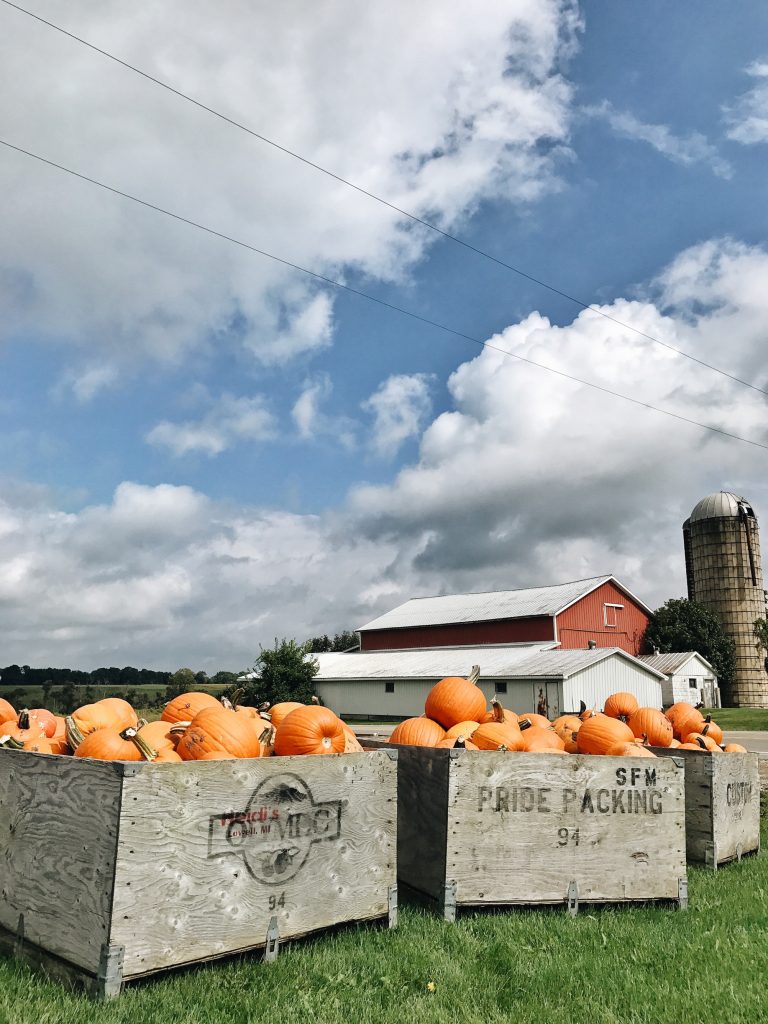 Rustic Farmhouse Fall - Seeing the beauty in everyday fall moments.