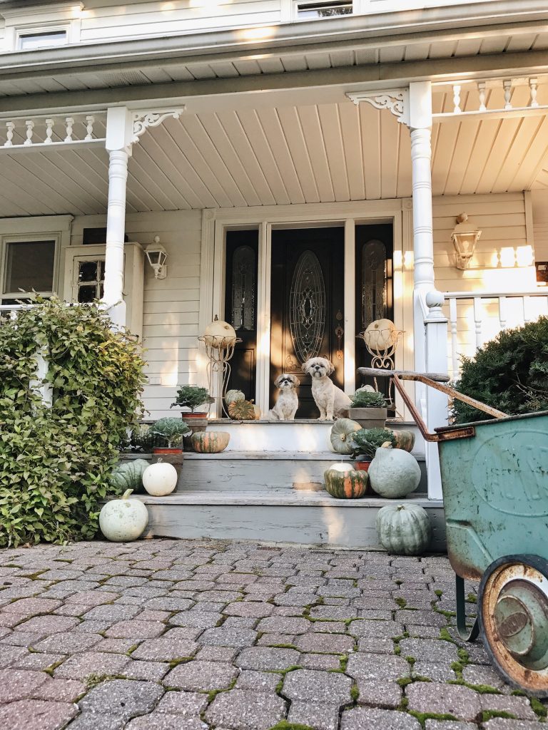 Rustic Farmhouse Fall - Seeing the beauty in everyday fall moments.