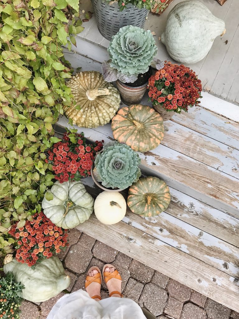 Rustic Farmhouse Fall - Seeing the beauty in everyday fall moments.