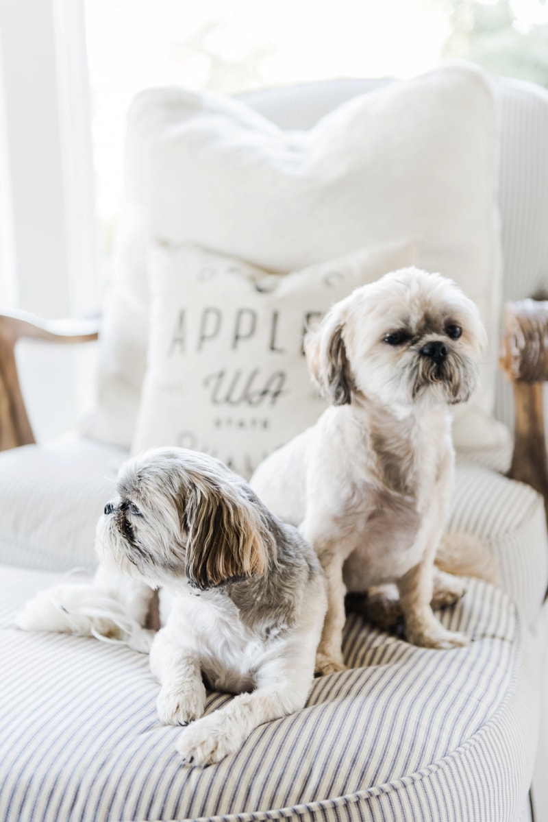 Neutral fall decor - A cozy farmhouse fall sunroom. A must pin for cozy fall decor inspiration! 