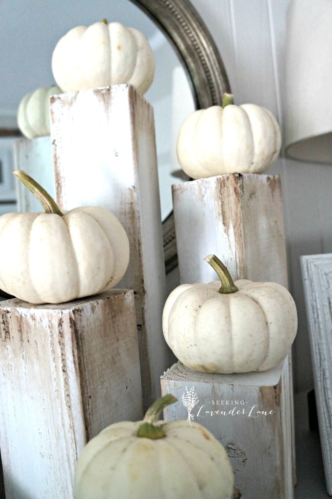 white-pumpkins-on-rustic-wood-681x1024