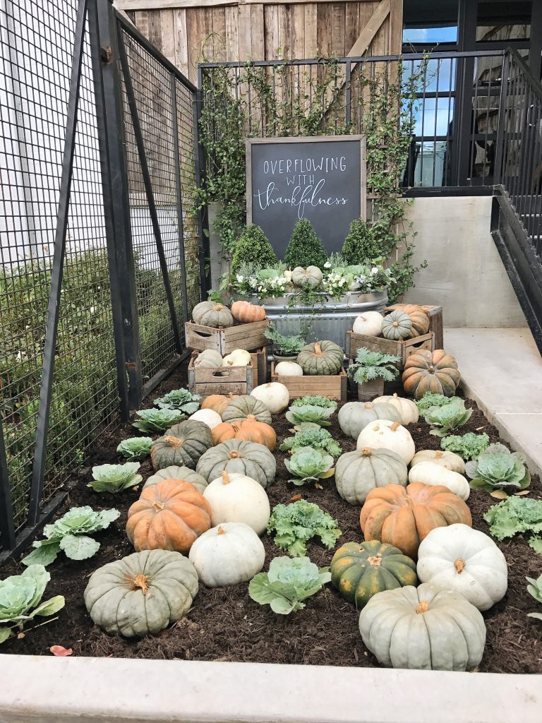 Processed with Snapseed. Processed with VSCO with a6 preset