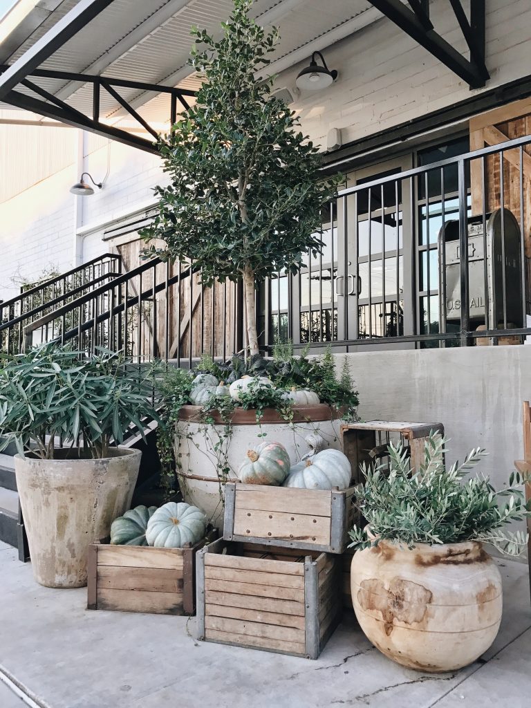 Processed with Snapseed. Processed with VSCO with a6 preset Processed with VSCO with m5 preset