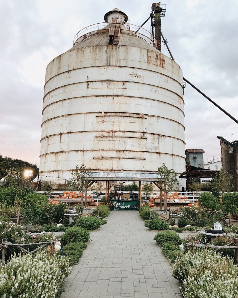 Processed with Snapseed. Processed with VSCO with a6 preset Processed with VSCO with m5 preset