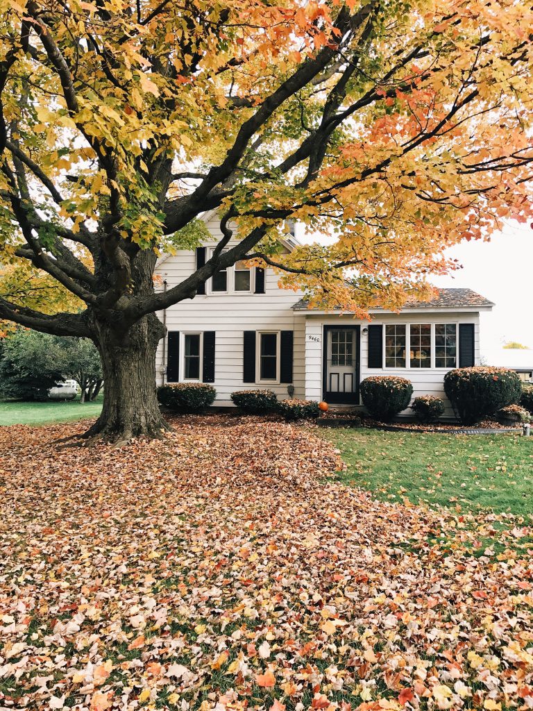 Farmhouse Fall Style - Liz Marie Blog