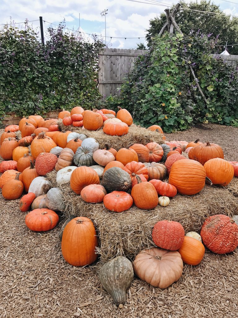 Farmhouse Fall Style - Liz Marie Blog