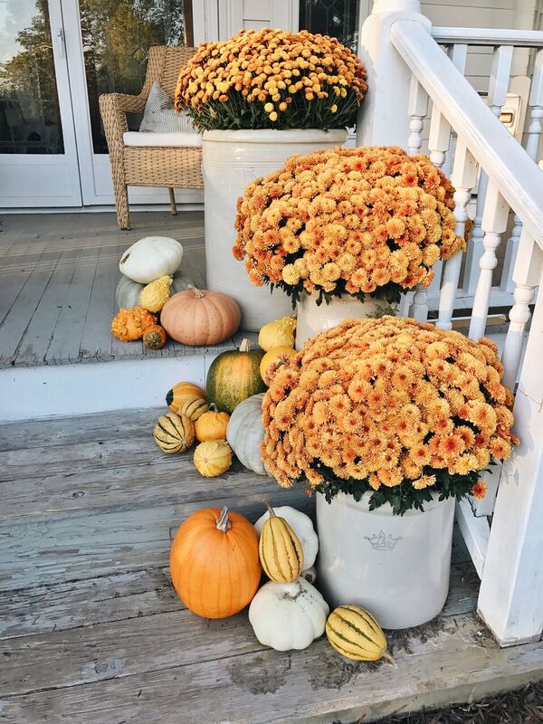 Pumpkins Mums and Crocks