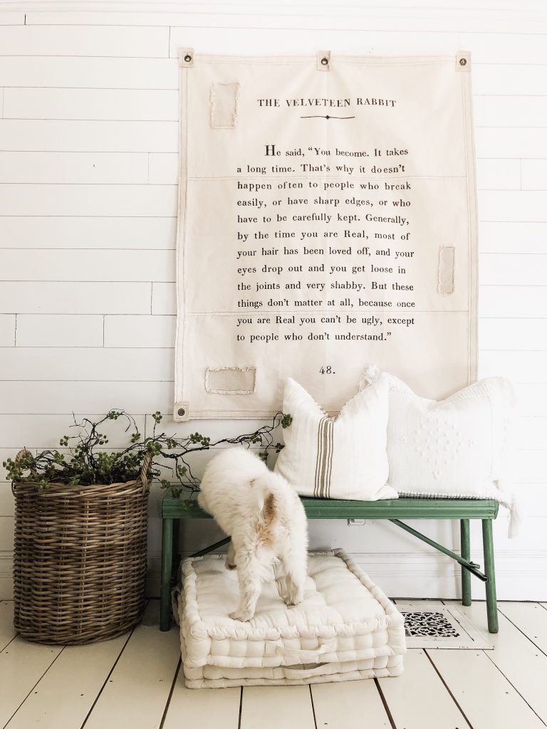 velveteen rabbit on tarp