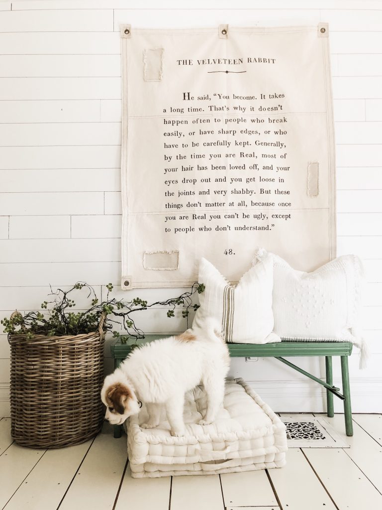 drop cloth with velveteen rabbit 